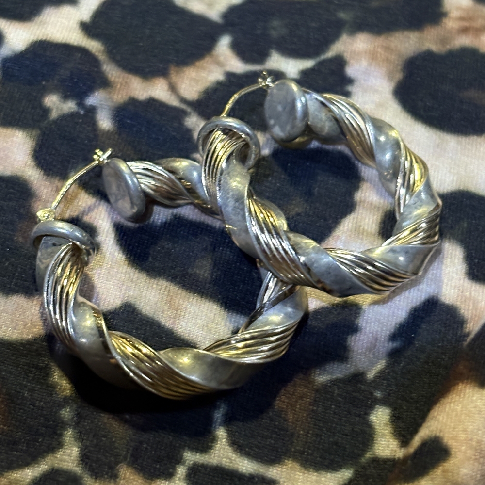 Elegant Silver and Gold Twisted Hoop Earrings